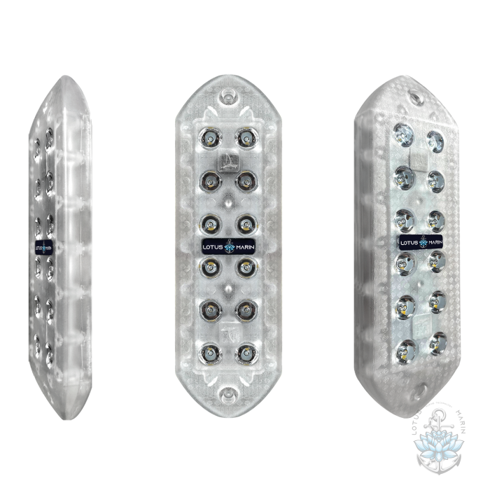 #UnderwaterLighting #LEDUnderwater #UnderwaterLEDLights #OceanLighting #AquariumLED #SubmersibleLED #UnderwaterIllumination #MarineLighting #LEDSeaLights #WaterproofLED #UnderwaterGlow #DeepSeaLED #UnderwaterLuminance #LEDSubmersion #DiveLighting #LEDLigh